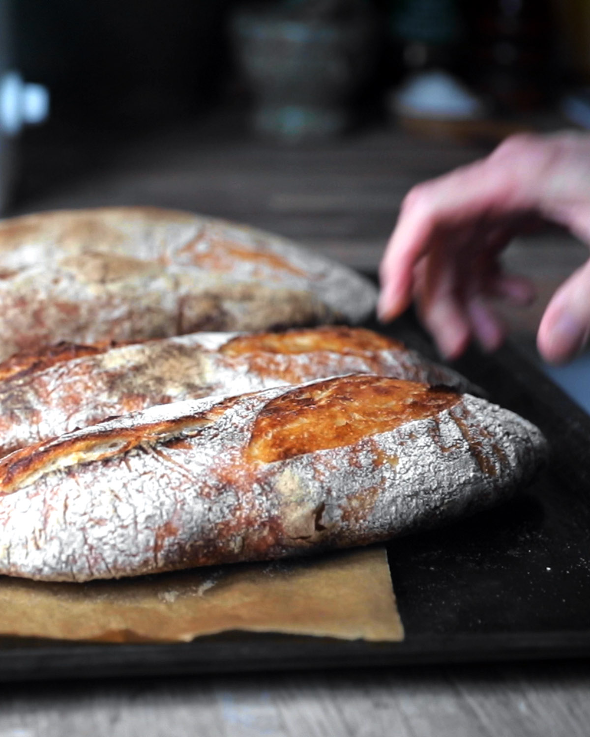 Chef Martino Sourdough Bread recipe